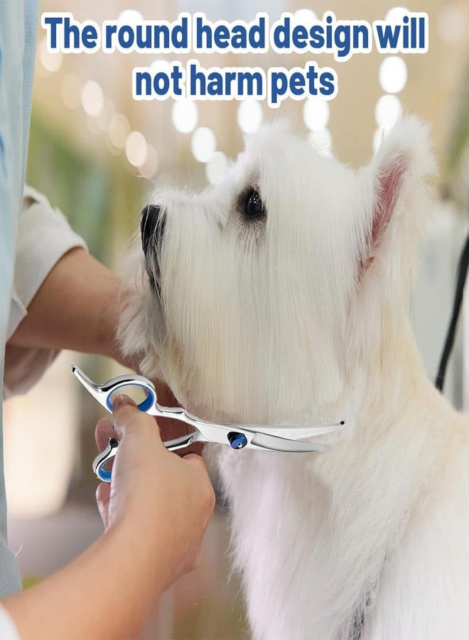 سكويشي مجموعة مقصات للعناية بالكلاب (3 قطع)، مقصات لقص شعر الكلاب، طقم عناية بالكلاب مع مقص منحني لأعلى ومبرد أظافر، مثالية للحيوانات الأليفة الصغيرة - Image 2